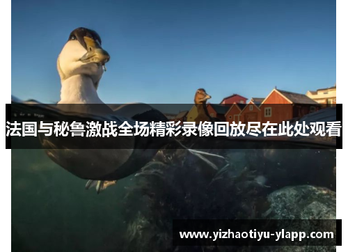 法国与秘鲁激战全场精彩录像回放尽在此处观看